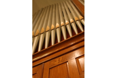 Organ (at an angle)